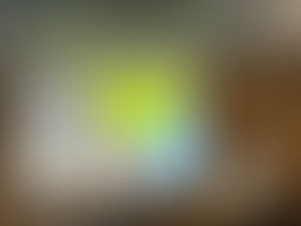 Dr. Trummer@Zentrum für Europäische Wirtschaftsforschung (ZEW), October 17, 2022