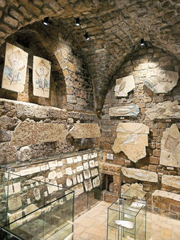 Memory Of Time Fossil Museum Byblos