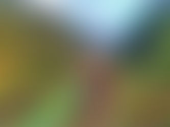 First-time traveler overlooking Chouwen Lake and nature landscape in Lebanon