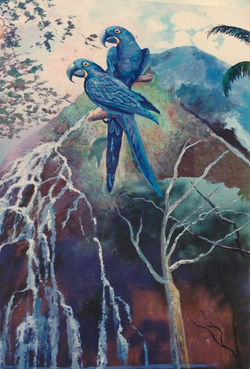 Simbads Bird House - Miami Fla