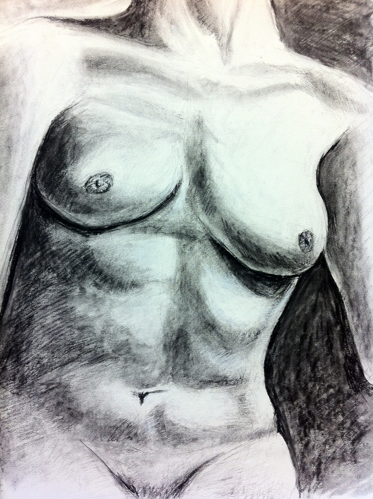 Torso Study
