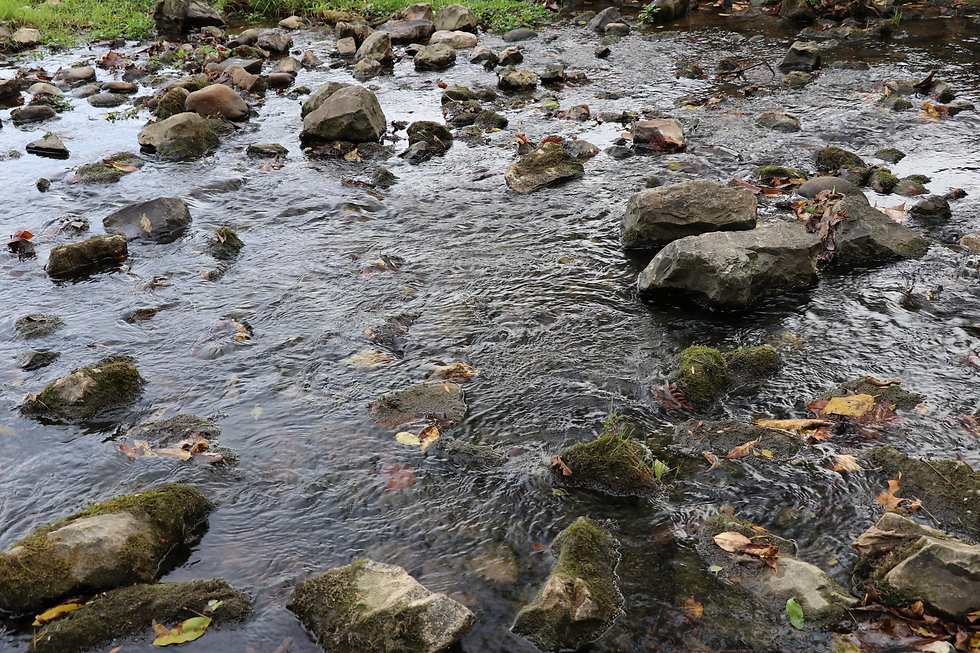 Visit Farragut things to do in Knoxville TN weekend getaway