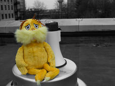 Dark Side of the Lorax