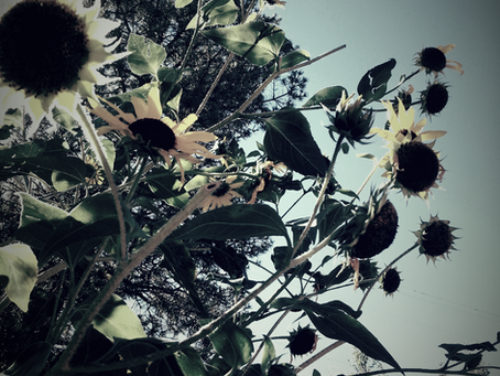 Excerpt: Time, and Other Matters