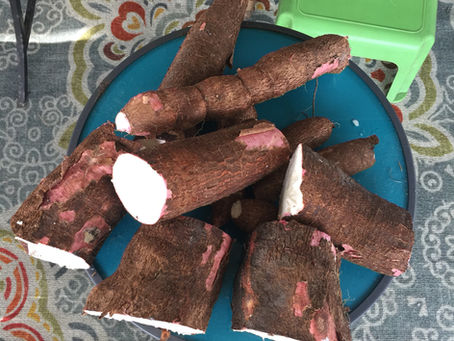 Cassava From My Mother's Garden: "Our ancestors had to tap into the rhythm of the plants …"