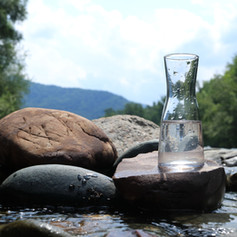 AdobeStock_219824318.jpeg