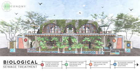 WHEN TREES AND BUILDINGS BECOME FUNCTIONALLY INDISTINGUISHABLE