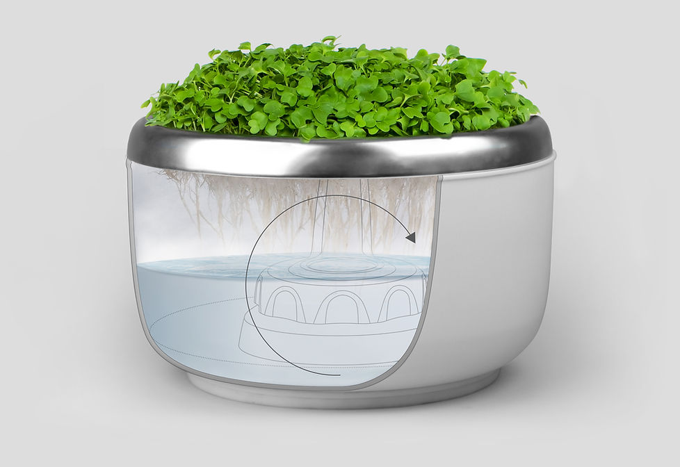 Hybrid Hydroculture infographics.jpg