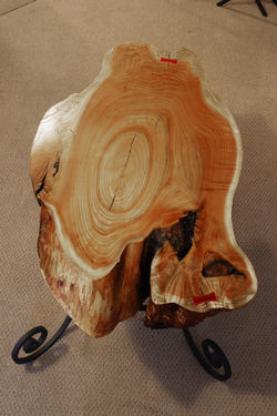 Cork Oak Coffee Table without Glass Top-side view