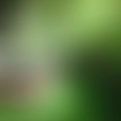 The Price of Principle