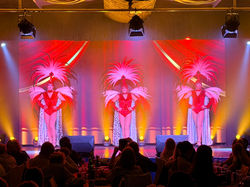 stardust-variety-show-cyprus-red-feather-costumes-2026