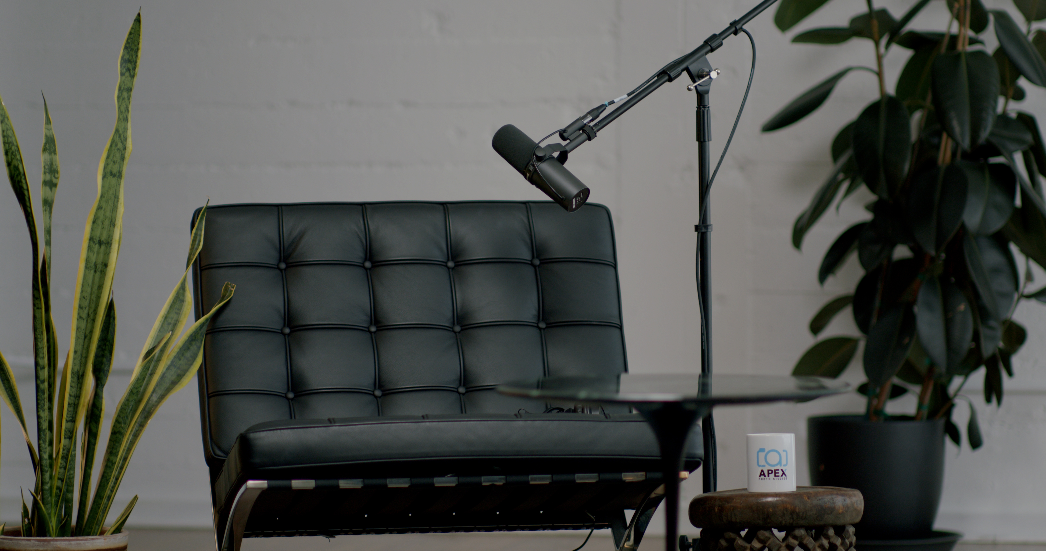 Professional Podcast Studio Background Apex Photo Studios