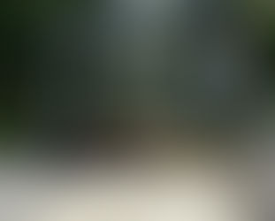 #245 Suwa Taisha Kamisha Honmiya