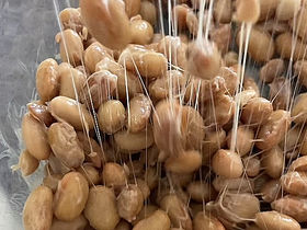Natto (Homemade with yogurt maker)