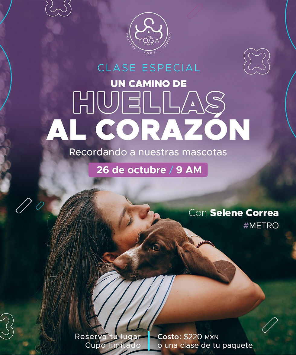 Un camino de huellas al corazón 