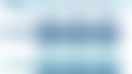 2026 Investor Survey One-Pager