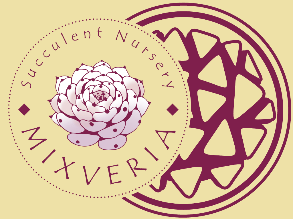 お知らせ | 鶴仙園