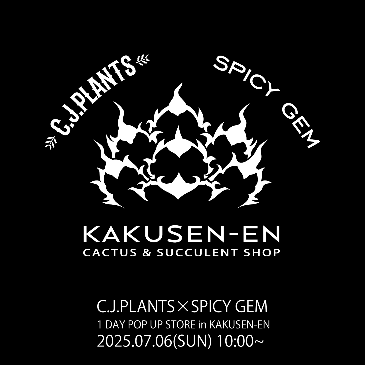 【激レア】spicygem × cj plants コラボ 陶器鉢 激レア】spicygem × cj plants コラボ 陶器鉢