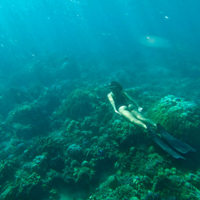 Starting Freediving | Misconceptions and realities