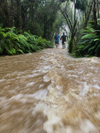 Trail Running New Zealand