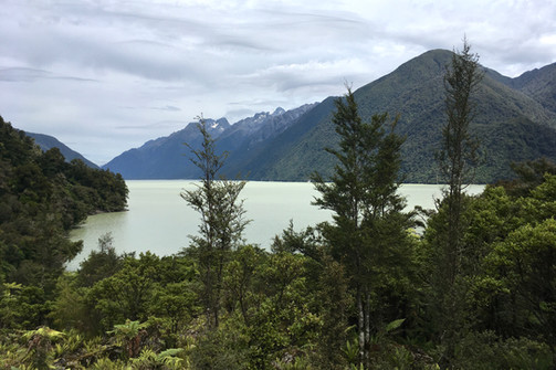 Demon Trail Hollyford Track