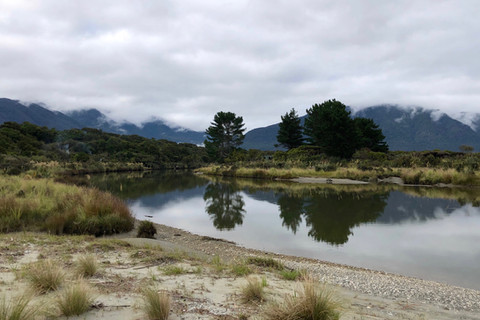 Awarua Guides