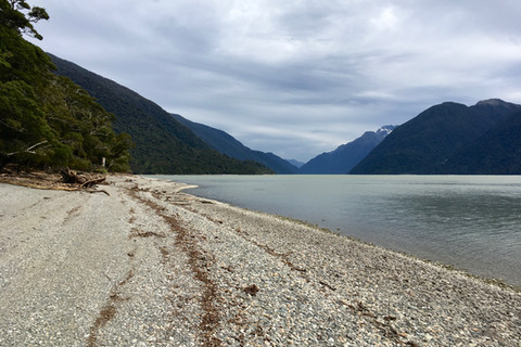 Demon Trail Hollyford Track