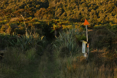 Pyke Track