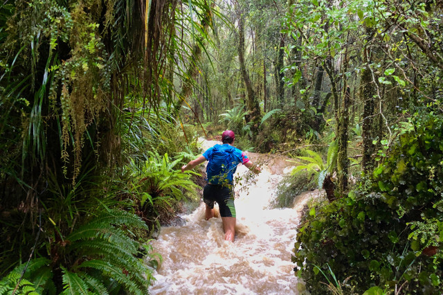 Trail Running New Zealand