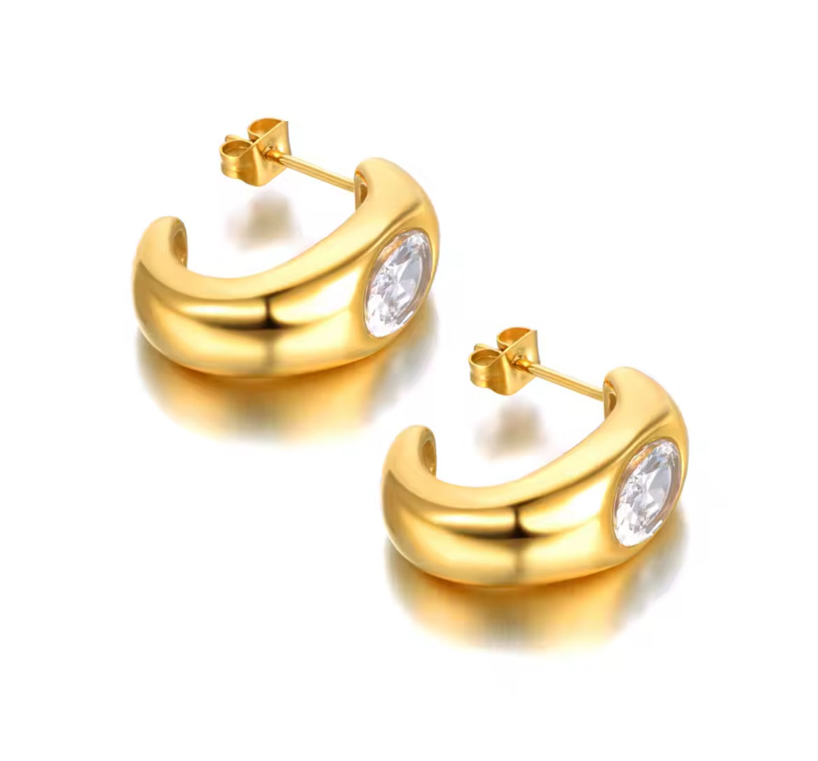 Stainless Steel CZ Earring