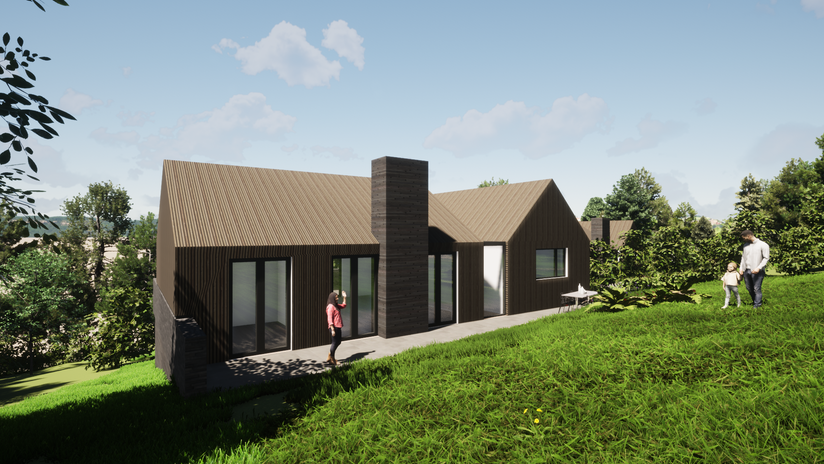 BA095-Rear View .png