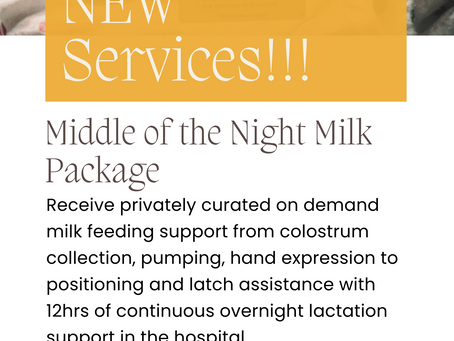 south atlanta lactation services
