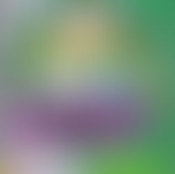 21 Years of Pokémon!