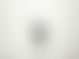 Furret proves a point: How to ban-evade on SkipIRC