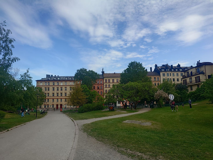 20250527_165525.JPG
