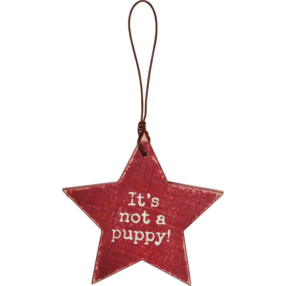 Thumbnail: Not On List Gift Tag set