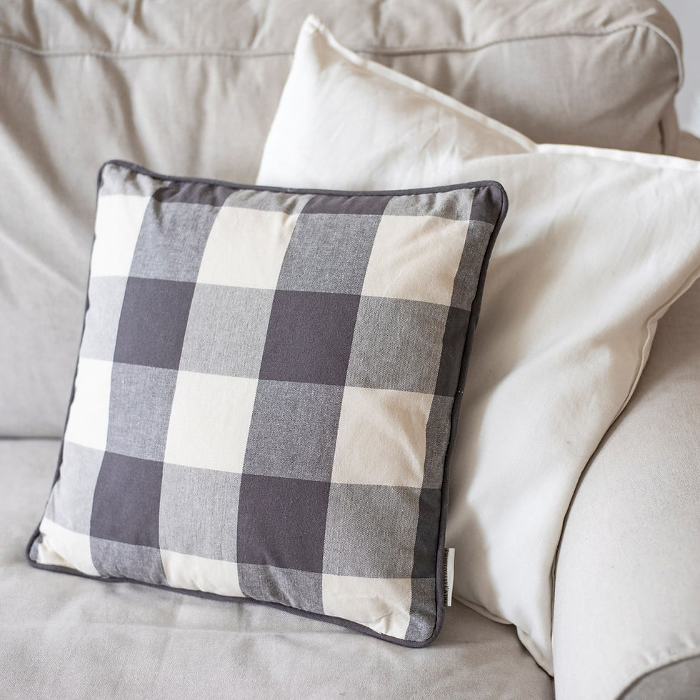 Thumbnail: Buffalo Check Pillow