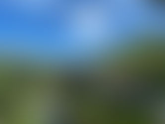 Educational Tours: A New Columbus Favorite