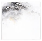 Nanumea, Tuvalu, 2008