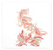 Douro Studies [Fan 5i], 2010