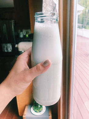 PLANT MILKS- all you need to know