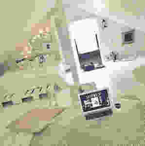 41465528.jpeg