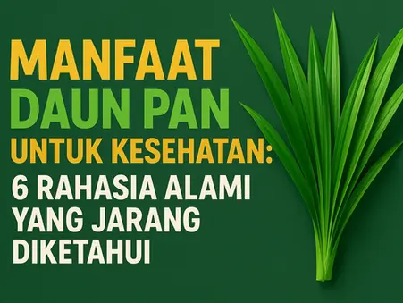 Manfaat Daun Pandan untuk Kesehatan: 6 Rahasia Alami yang Jarang Diketahui
