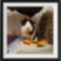 9fdaed8e-8898-455b-b85e-6f5f231b39ac_edited.jpg
