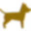 dog.png