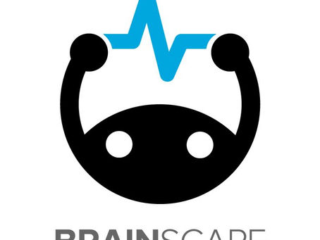 Brainscape