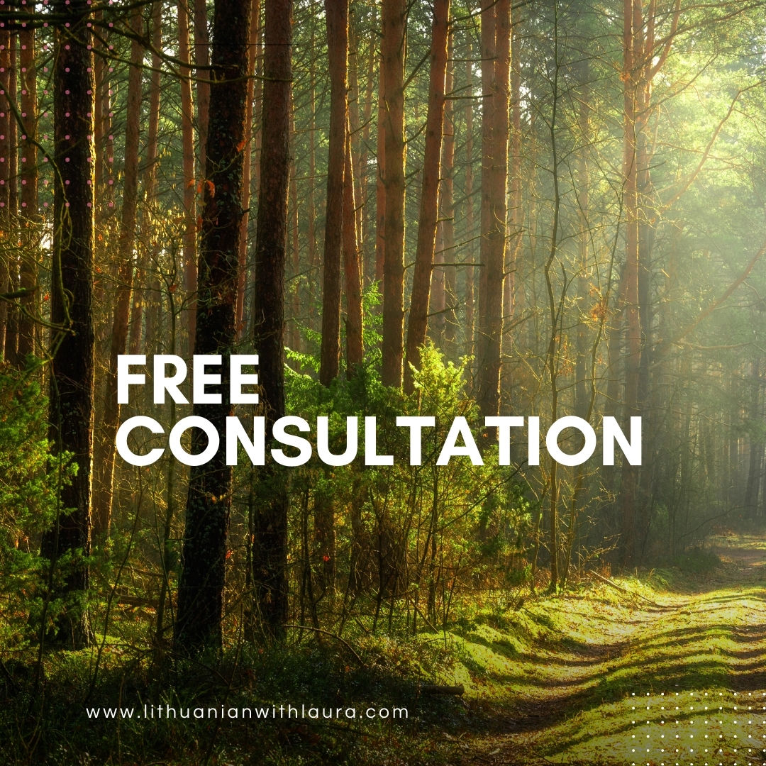 Online Lithuanian lessons free consultation