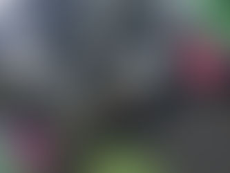 Plan de Entrenamiento Semanal ⚡️🏋️♀️