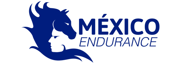 LogoEndurance-01.png