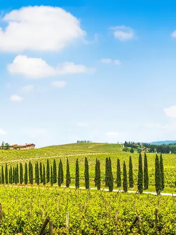 tuscany-3739-1-3.webp